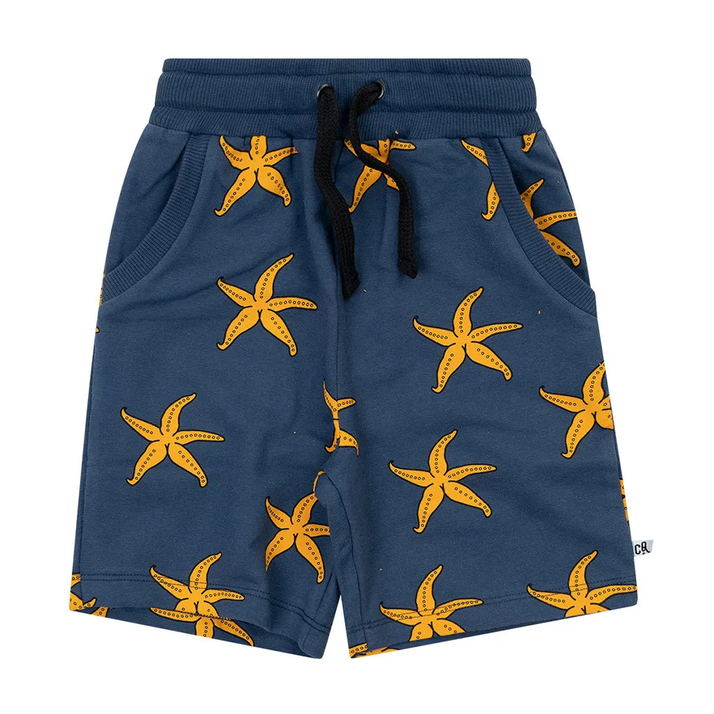 Bermuda Starfish