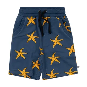 Bermuda Starfish